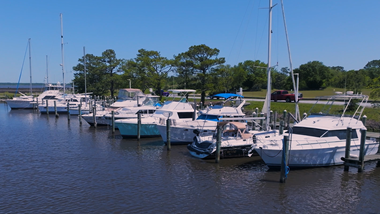 Boats in a marina