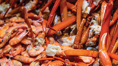 hollywood casino buffet bay st louis ms gift epic buffet restaurants steakhouse buffet grill hollywood casino gulf coast hollywood casino buffet bay st louis ms gift epic buffet restaurants steakhouse buffet grill hollywood casino gulf coast