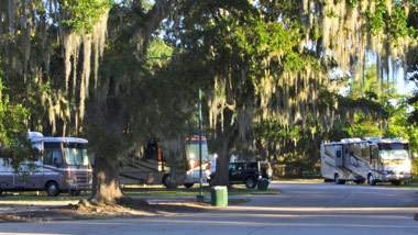 rvs and motorhomes in rv park