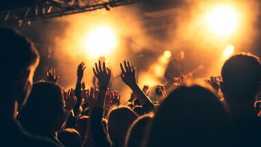 crowd at concert